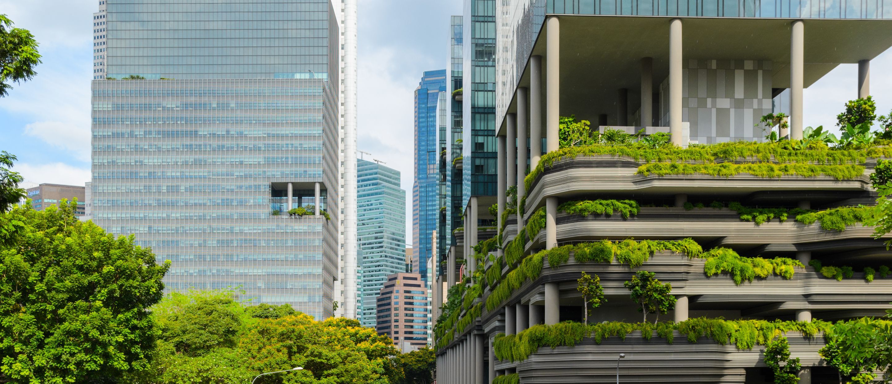 Sustainability_Responsible_Investment